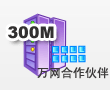 վ-300M